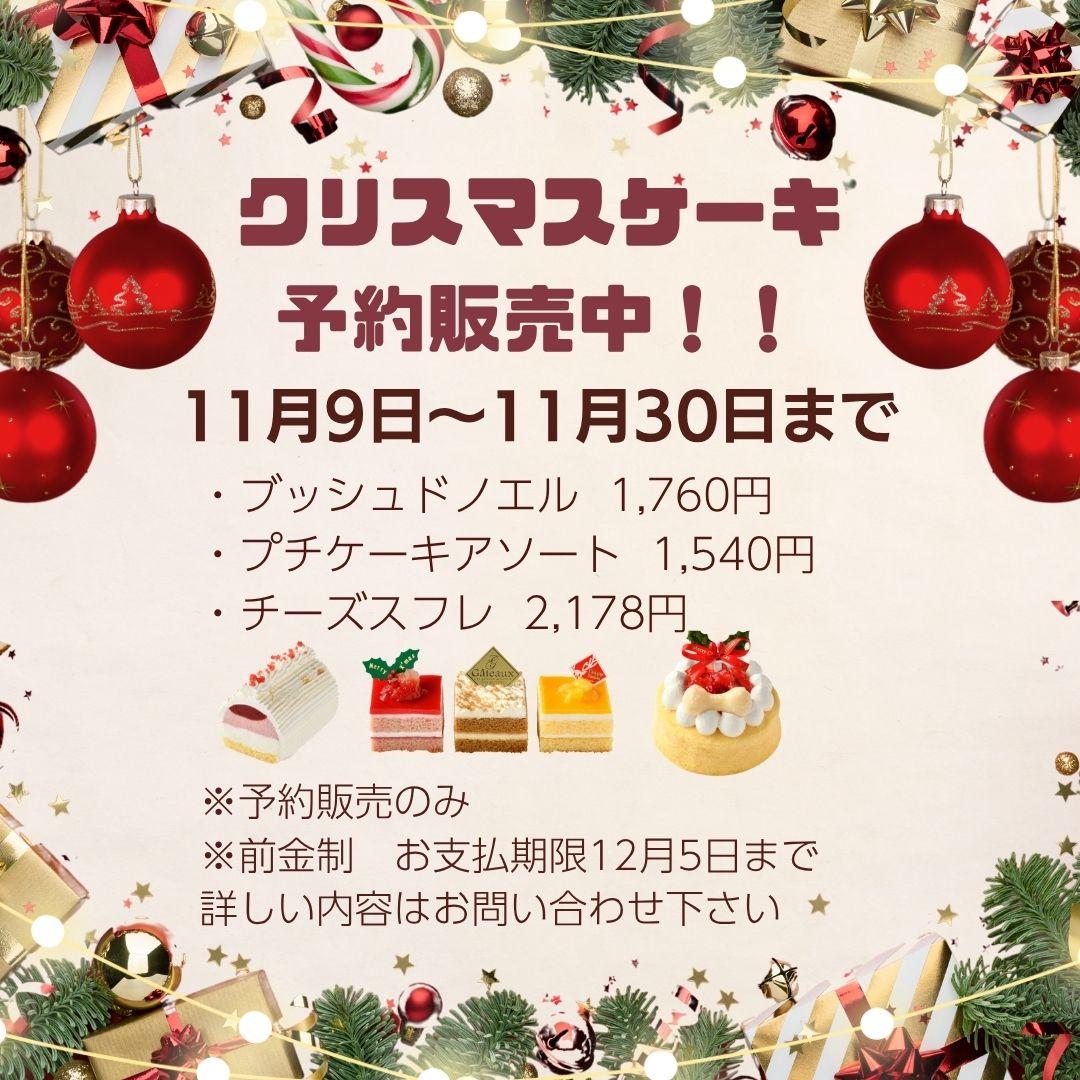 札幌　トリミングサロン　ドッグサロンエムズワン　犬　クリスマスケーキ　犬用ケーキ　クリスマス　Dog Salon M’s-One